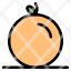 fruit-orange-pulp-icon