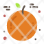 fruit-orange-thanksgiving-icon