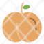 fruit-peach-icon