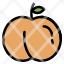 fruit-peach-icon