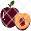 fruit-plum-fruits-food-icon