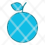 fruitorange-icon