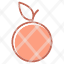 fruitorange-icon