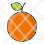 fruitorange-icon