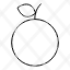 fruitorange-icon