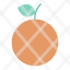 fruitorange-icon
