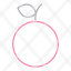 fruitorange-icon