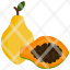 fruits-fruit-food-papaya-icon