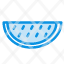 fruits-melon-summer-water-icon
