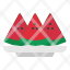 fruits-vegetables-vitamins-water-melon-icon