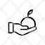 frutes-icon