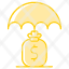 funds-protection-icon