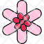 gaillardia-flower-blossom-floral-nature-icon