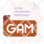 gam-file-type-format-extension-document-icon