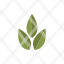 garden-gardening-leaves-nature-plant-icon