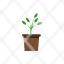 garden-leaves-nature-plant-plant-pot-icon