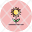 garden-nature-sunflower-seed-autumn-icon