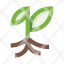 garden-plant-herb-sprout-root-leaves-icon