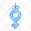 gender-symbol-ribbon-icon
