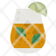 gin-tonic-cocktail-alcohol-drinks-icon