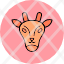giraffe-animalgirafa-giraffes-icon-icon
