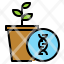 gmo-plant-genetics-engineering-growing-productivity-icon
