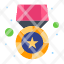 gold-medal-star-prize-icon