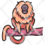 golden-lion-tamarin-animal-monkey-wild-wildlife-icon