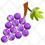 grape-fruit-farming-wine-icon