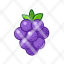 grape-fruit-food-ingredients-restaurant-fresh-vegetarian-icon
