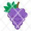 grape-fruit-food-vagan-organic-icon