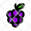 grape-soar-small-icon