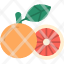 grapefruit-fruit-healthy-food-orange-icon