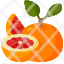 grapefruitfruit-vegan-food-viburnum-fruit-healthy-diet-vegetarian-restaurant-icon