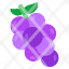 grapes-fruit-edible-nutritious-diet-healthy-diet-icon