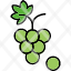 grapes-fruit-food-healthy-fresh-icon