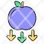 gravity-apple-knowledge-down-icon