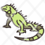 green-iguana-animal-jungle-lizard-wild-icon