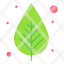 green-leaf-nature-spring-tree-season-icon