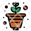 grow-growth-plant-icon