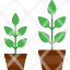 grow-plant-garden-farm-icon