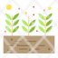 growing-harvest-plant-seed-icon