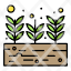 growing-harvest-plant-seed-icon