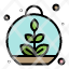 growing-leaf-plant-spring-icon