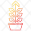 growth-icon