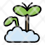 growth-increase-maturity-plant-icon