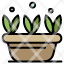 growth-leaf-plant-spring-icon