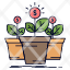 growth-money-plant-pot-tree-icon