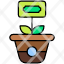 growth-money-plant-tree-new-begin-icon