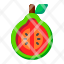 guava-fruits-vegetables-food-vegetarian-icon